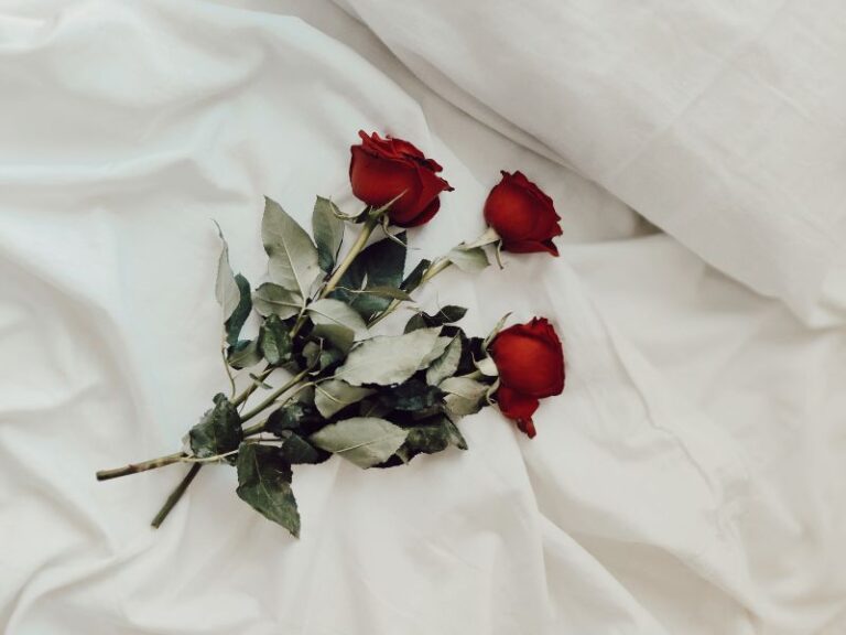 Tres rosas rijas en forma de abanico sobre sábanas blancas