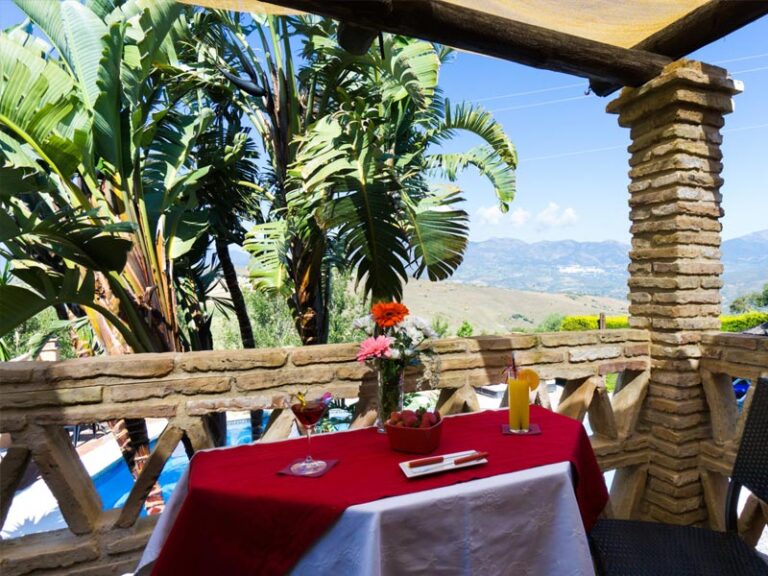 Detalle de mesa con flores y cóctel en la terraza, con palmeras y vistas al valle del Guadalhorce al fondo
